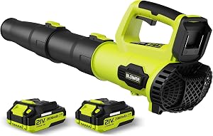 Leaf Blower Cordless, Electric Cordless Leaf Blower with 2 Batteries and Fast Charger, Lig