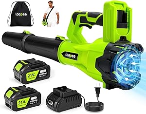 Leaf Blower Cordless,650CFM Electric Leaf Blower with 2 4.0Ah Battery Powered and Fast Cha
